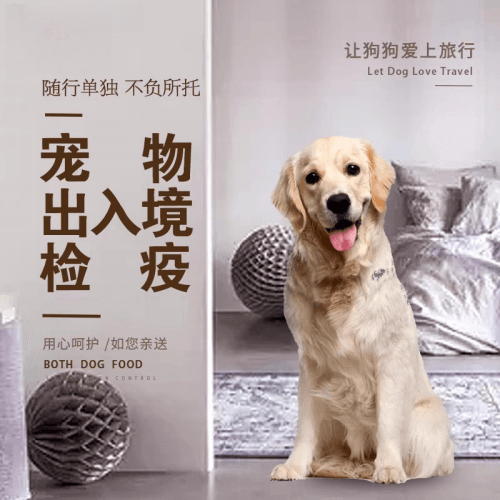 江津区宠物托运到哥伦比亚猫狗宠物入境规定和