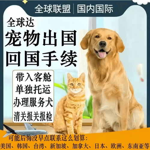 江津区宠物托运到柬埔寨宠物入境规定和要求