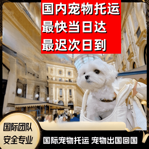 江津区到澳大利亚（澳洲）宠物入境规定和要求