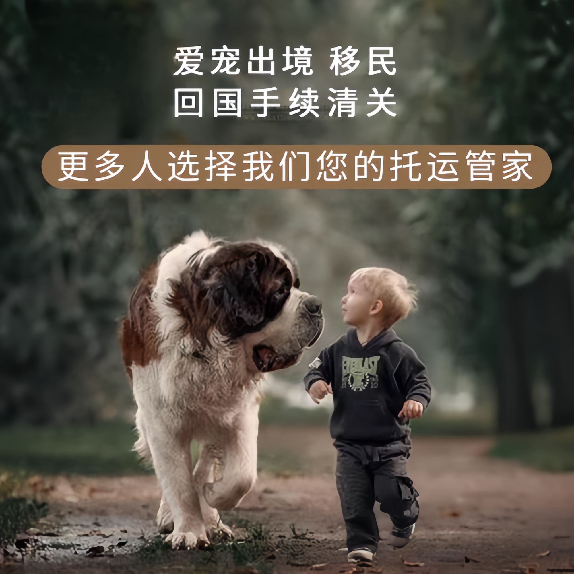 满财江津区宠物全球达宠物托运在遵守入境目的地政策的条件