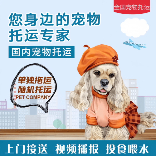 满财江津区宠物全球达宠物托运作为专业的宠物运输代理机构